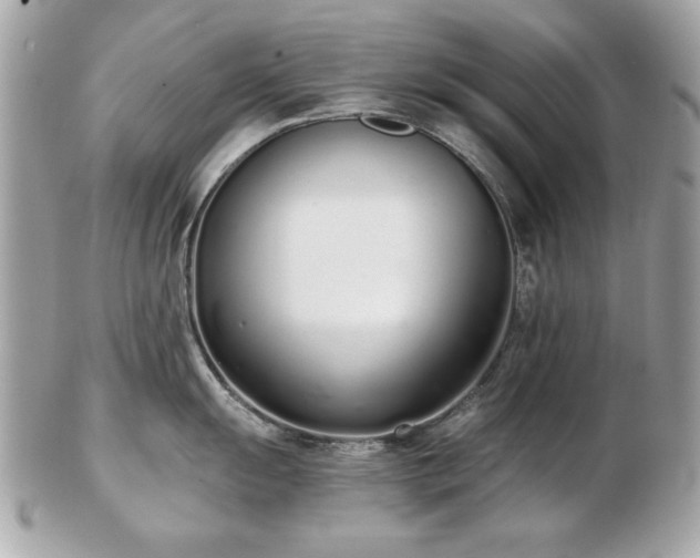 X0000103261055200808291213