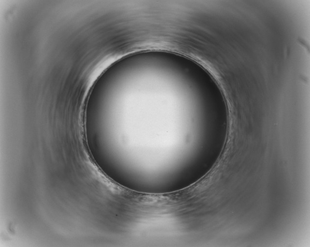 X0000103261056200808291213