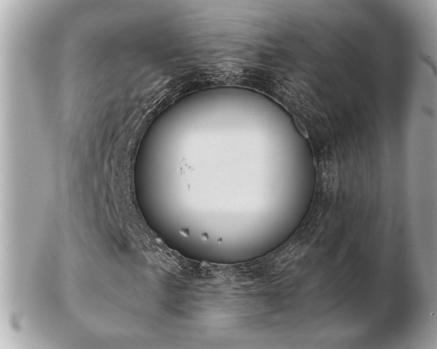 X0000103261057200808291213