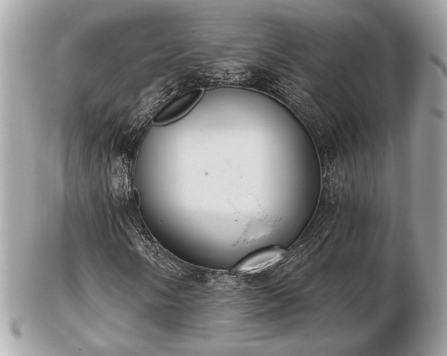 X0000103261058200808291213