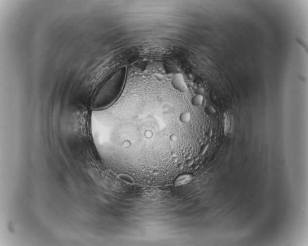 X0000103261059200808291213