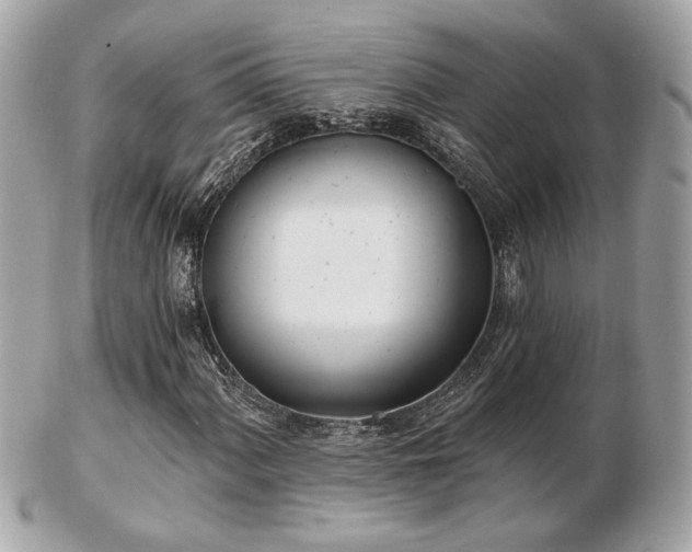 X0000103261060200808291213