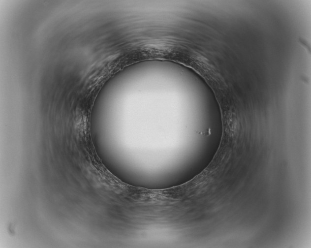 X0000103261061200808291213