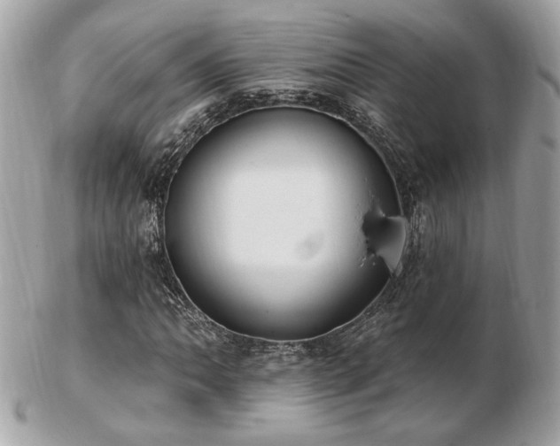 X0000103261062200808291213