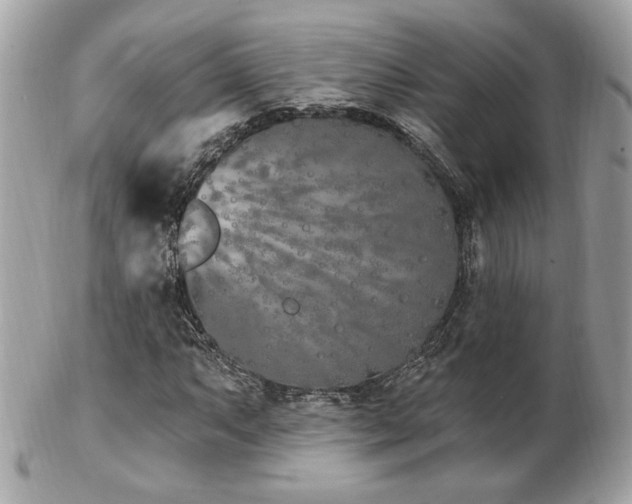 X0000103261063200808291213