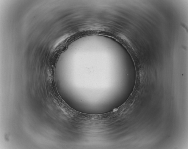 X0000103261064200808291213