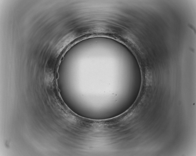 X0000103261065200808291213