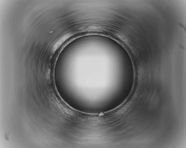 X0000103261066200808291213