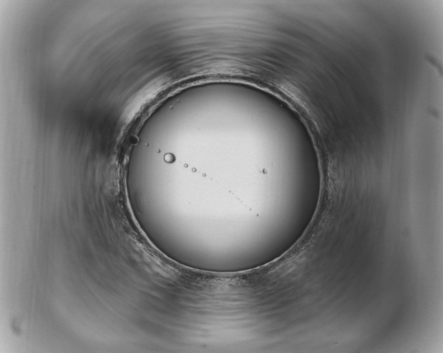 X0000103261067200808291213