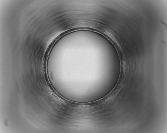 X0000103261068200808291213