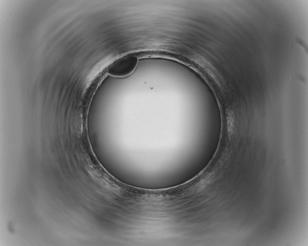 X0000103261069200808291213