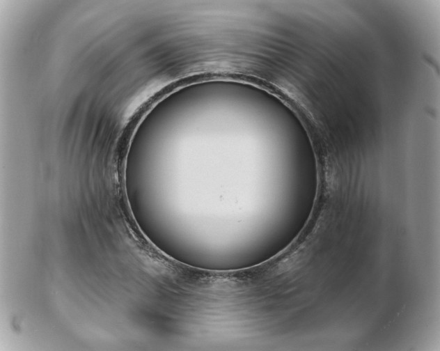 X0000103261070200808291213