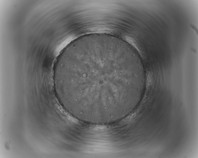 X0000103261071200808291213