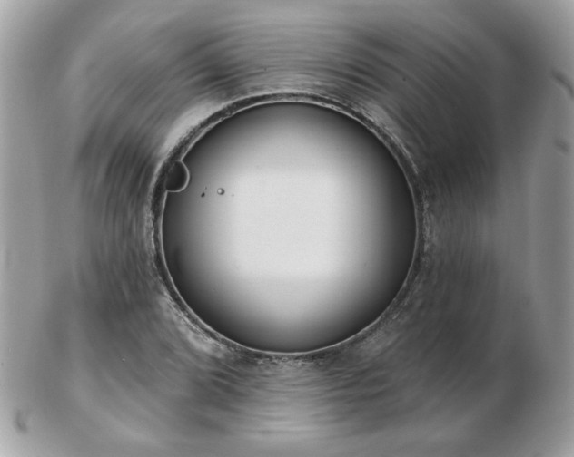 X0000103261072200808291213