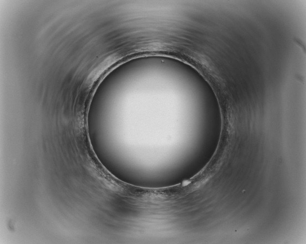 X0000103261073200808291213