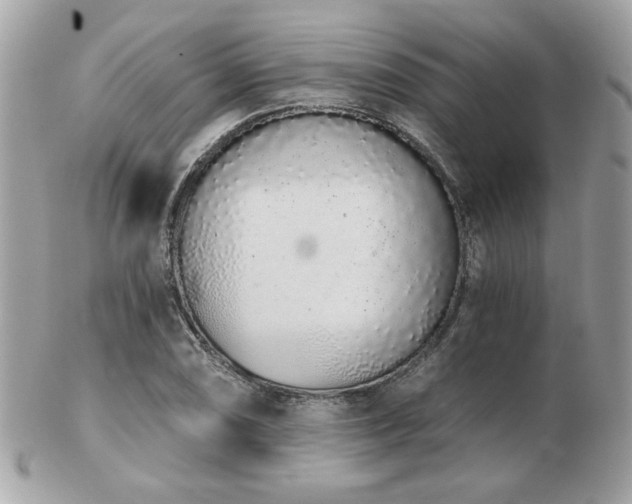 X0000103261074200808291213