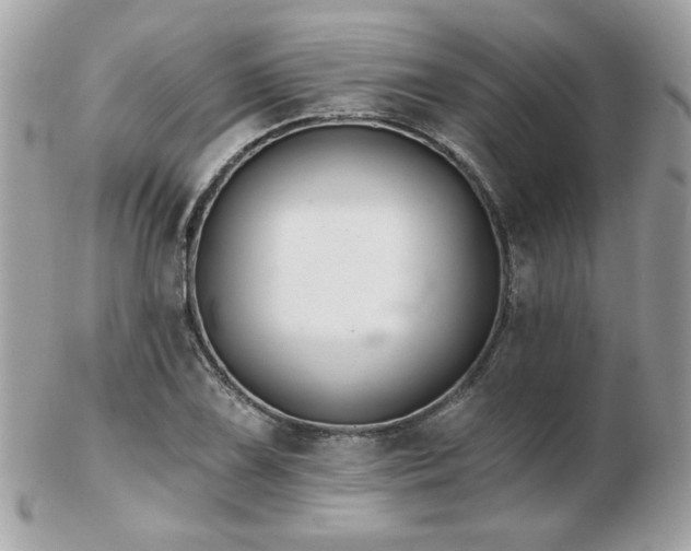 X0000103261075200808291213