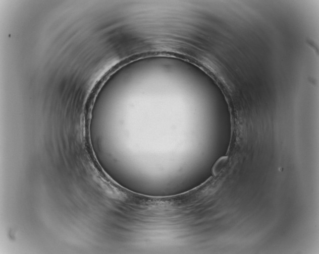 X0000103261076200808291212