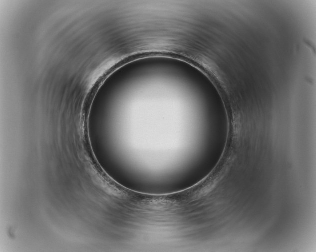 X0000103261077200808291212