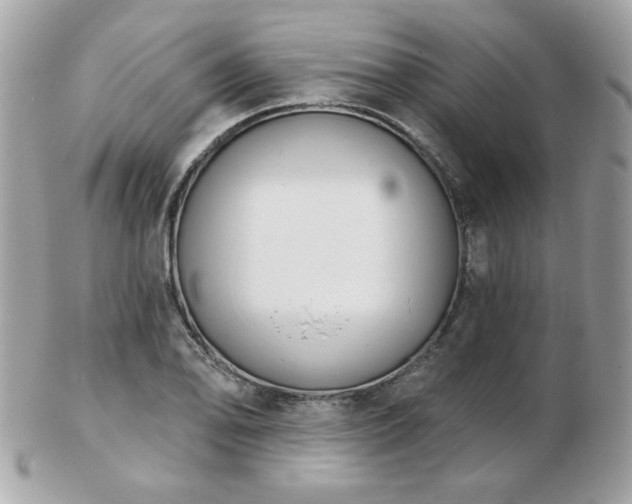 X0000103261078200808291212