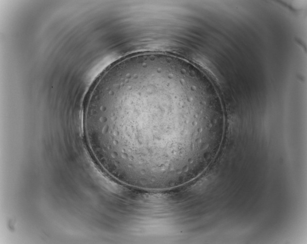 X0000103261079200808291212