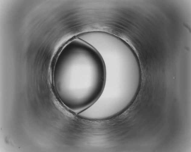 X0000103261080200808291212