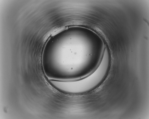 X0000103261081200808291212