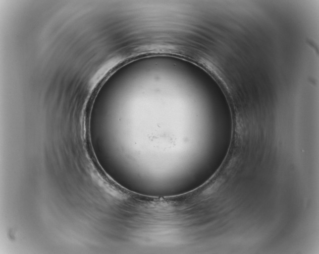 X0000103261082200808291212