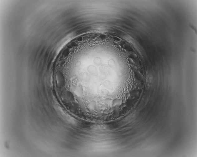 X0000103261083200808291212