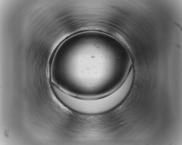 X0000103261084200808291212