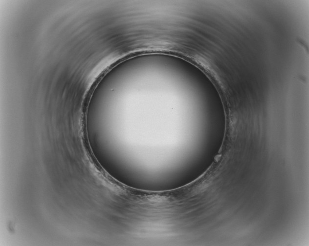 X0000103261085200808291212