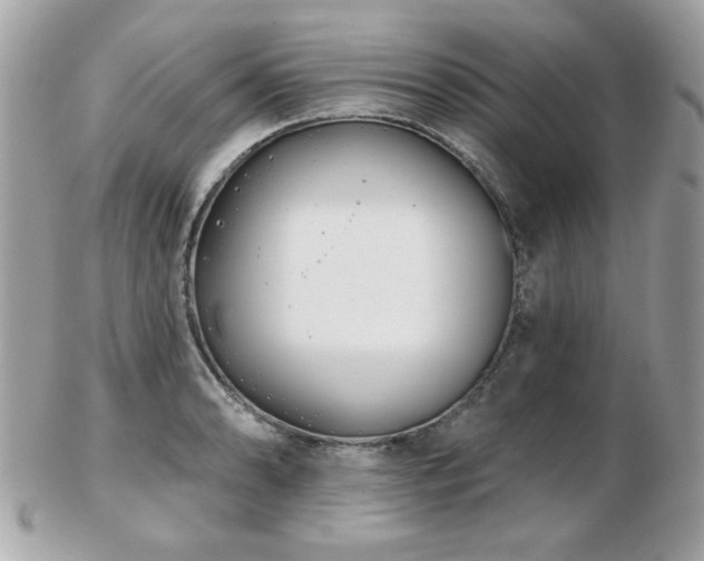 X0000103261086200808291212