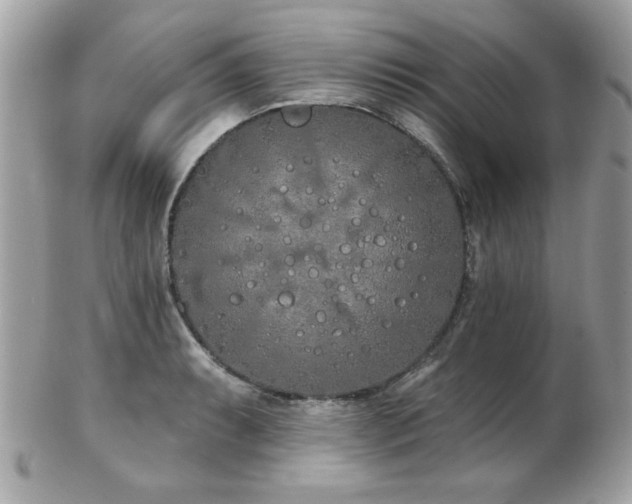 X0000103261087200808291212