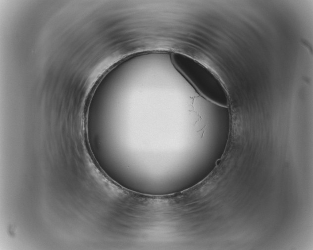 X0000103261088200808291212