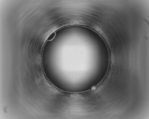 X0000103261089200808291212