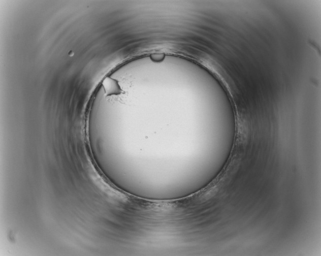 X0000103261090200808291212