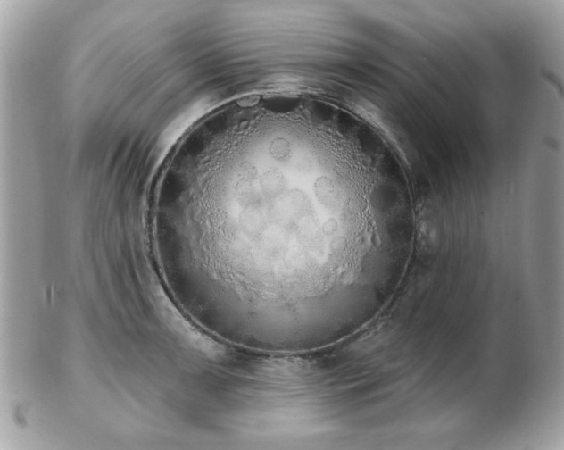 X0000103261091200808291212