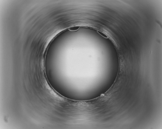 X0000103261092200808291212