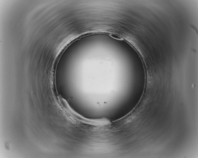 X0000103261093200808291212