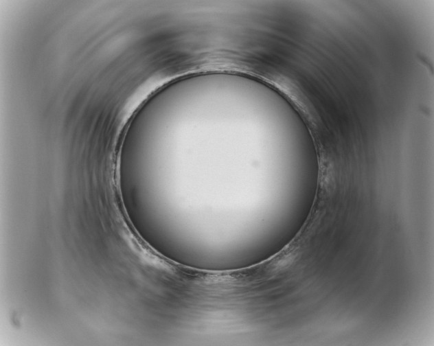 X0000103261094200808291212