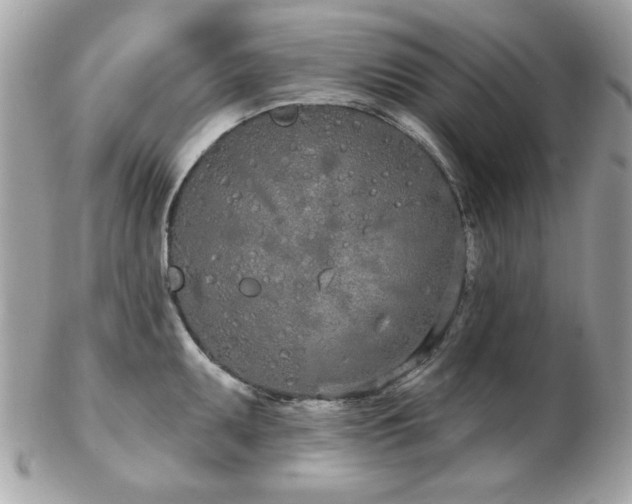 X0000103261095200808291212