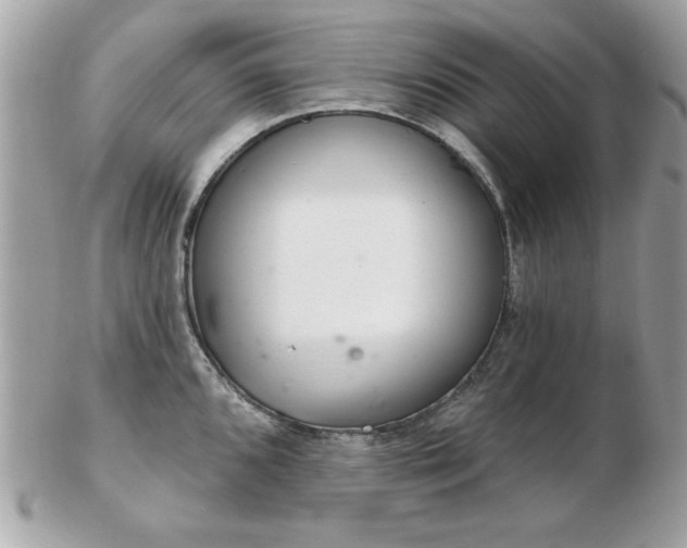 X0000103261096200808291212