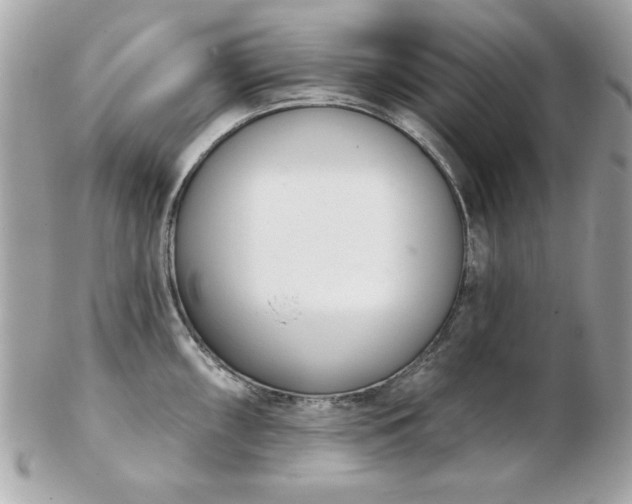 X0000103261098200808291212