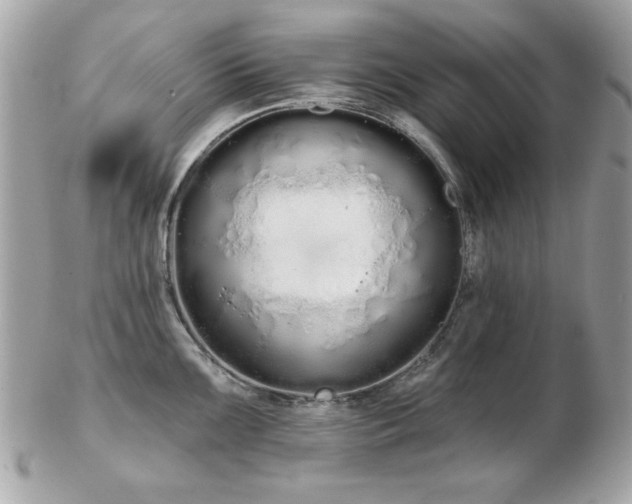 X0000103261099200808291212