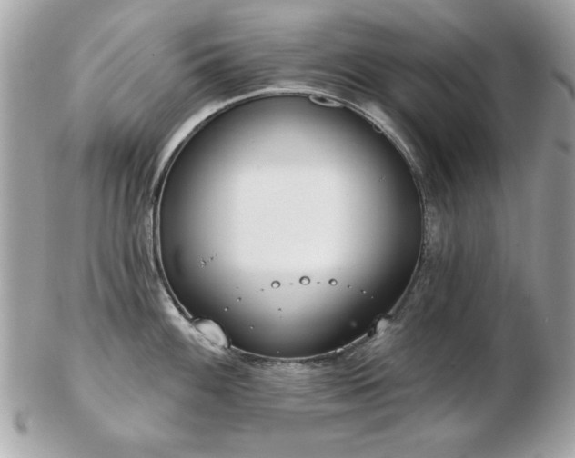 X0000103261100200808291212