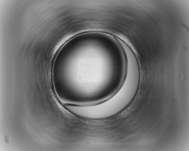 X0000103261101200808291212