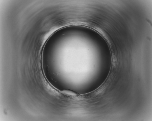 X0000103261102200808291212