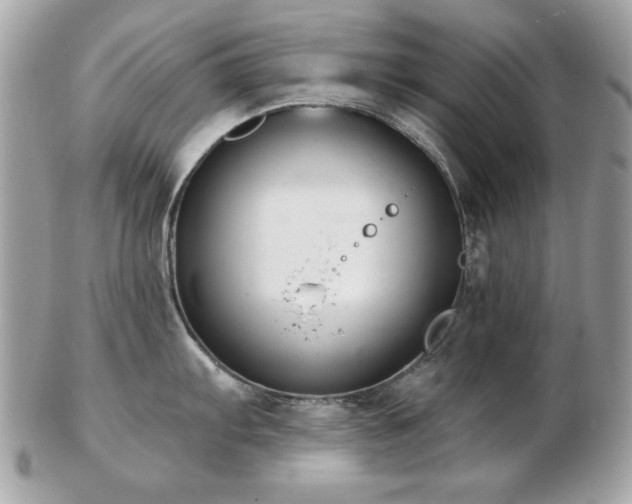 X0000103261103200808291212