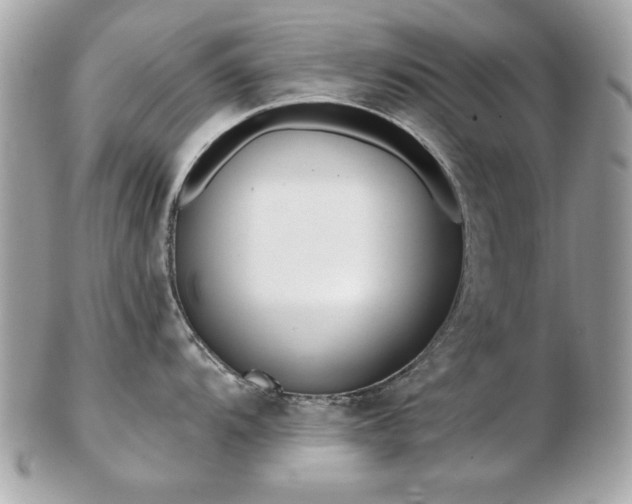 X0000103261104200808291212