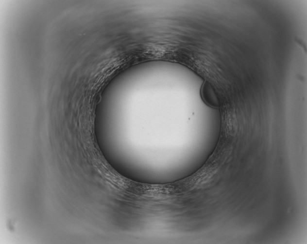 X0000103261105200808291211